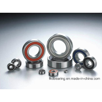 Ball Bearing Roller Bearing Auto Bearing and All Kinds of Stainless Steel Bearing